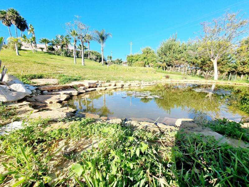 Near Olhão 13