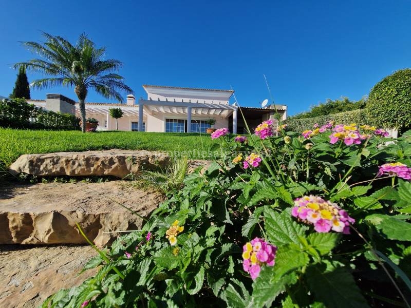 Near Olhão 3