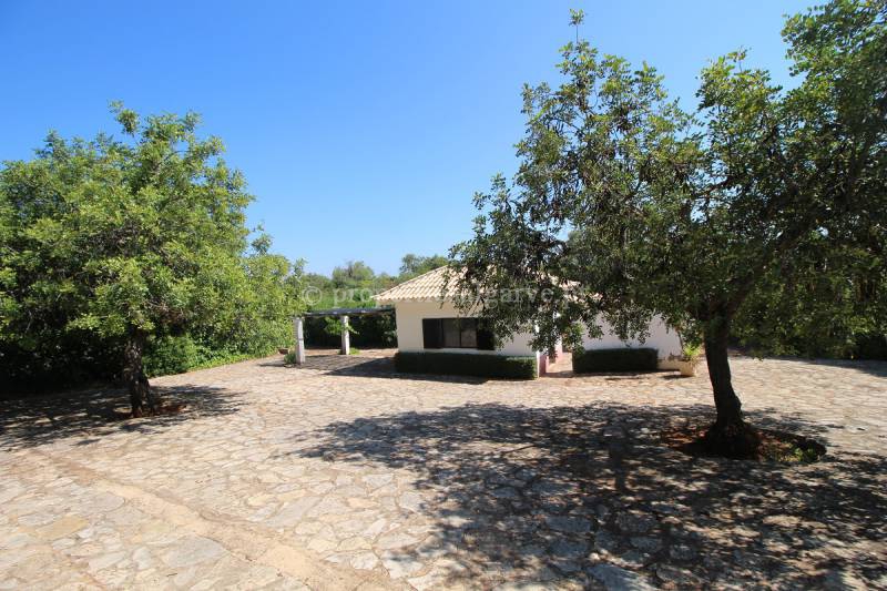 Vale Judeu near Vilamoura 11